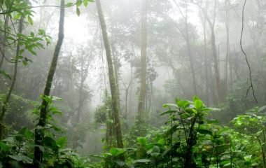 WhatsApp Image 2025-12-27 at 2.18.04 PM (6)