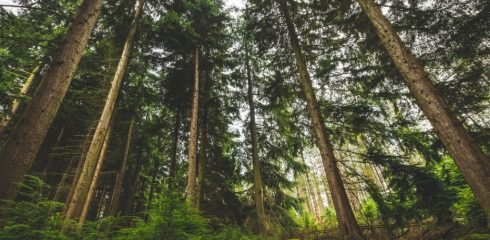 WhatsApp Image 2025-12-27 at 2.18.04 PM (8)