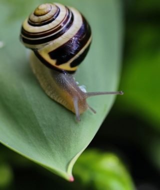 WhatsApp Image 2025-12-27 at 2.18.05 PM (3)